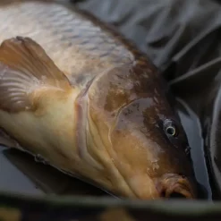 Trakker DPM Crib, Ovale Abhakmatte -Trakker Online-Shop trakker dpm oval crib in use 5